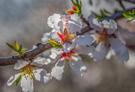 Photo By Bette Boren