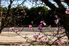 Photo By Jie Gao
