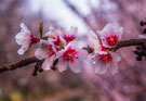 Photo By Marc Crumpler