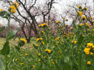 Photo By Xiao Cheng