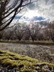Photo By Cathy Ipema