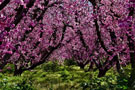Photo By Judy Dyches
