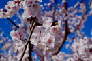 Photo By Judy Dyches