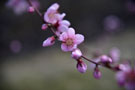 Photo By Jiawei Liang