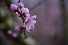 Photo By Jiawei Liang