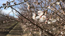 Photo By guynhanhsd