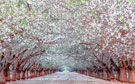 Photo By Wenhuai Han